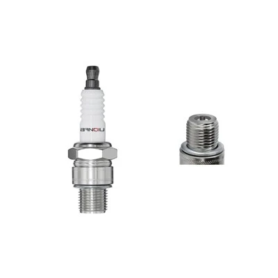 Nikkel neisti Plug Buzhw -2 2173